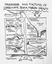 CO3BankGrowth-1