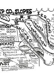 DeepCO3Slopes