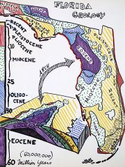FloridaGeologyColour