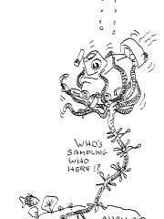 KillerCrinoidClean
