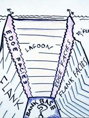 LagoonBankBase