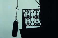 ACN Photo 1