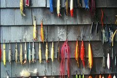 Colorful Lures 1
