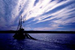 SunriseTrawler