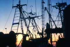 SunsetTrawler